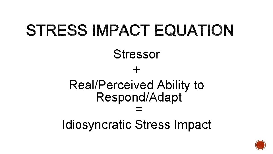 Stressor + Real/Perceived Ability to Respond/Adapt = Idiosyncratic Stress Impact 