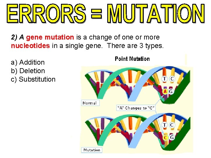 2) A gene mutation is a change of one or more nucleotides in a