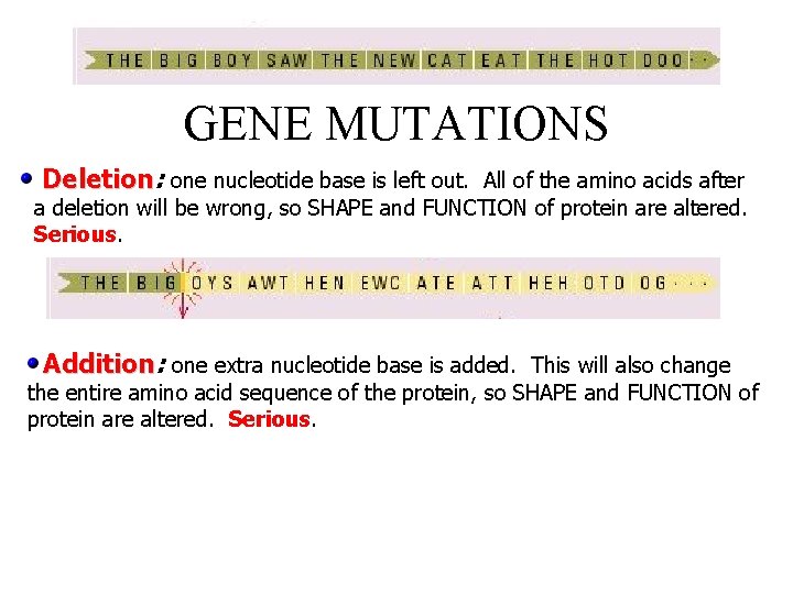 GENE MUTATIONS Deletion: one nucleotide base is left out. All of the amino acids