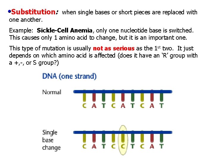 Substitution: when single bases or short pieces are replaced with one another. Example: Sickle-Cell