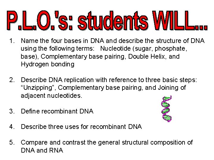 1. Name the four bases in DNA and describe the structure of DNA using