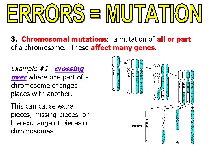 3. Chromosomal mutations: mutations a mutation of all or part of a chromosome. These
