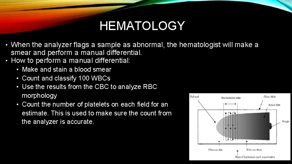 HEMATOLOGY • When the analyzer flags a sample as abnormal, the hematologist will make