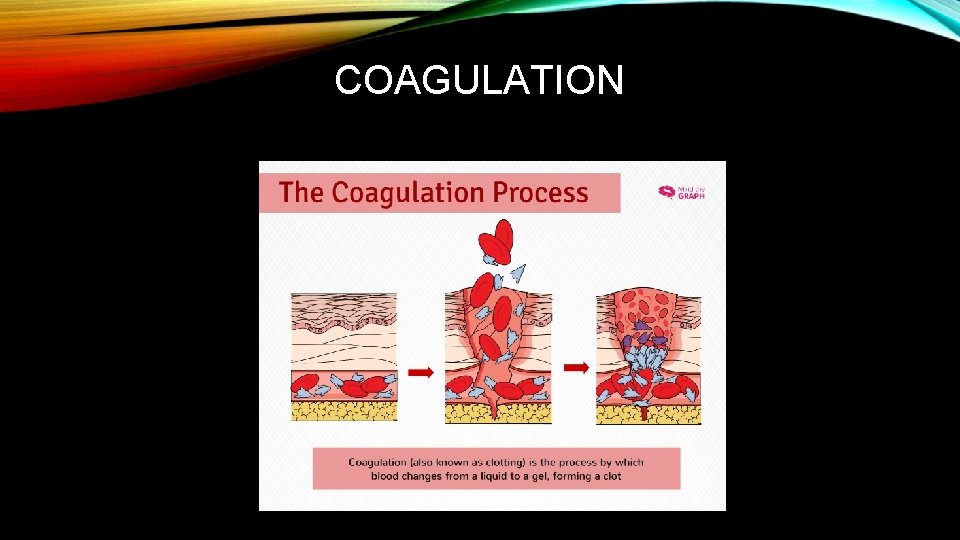 COAGULATION 