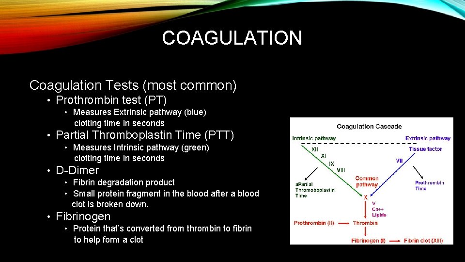 COAGULATION Coagulation Tests (most common) • Prothrombin test (PT) • Measures Extrinsic pathway (blue)