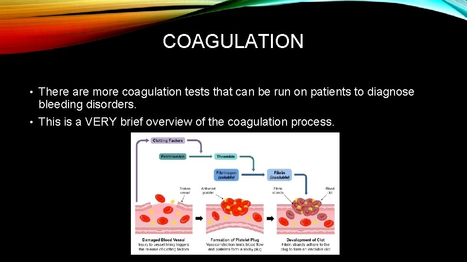 COAGULATION • There are more coagulation tests that can be run on patients to