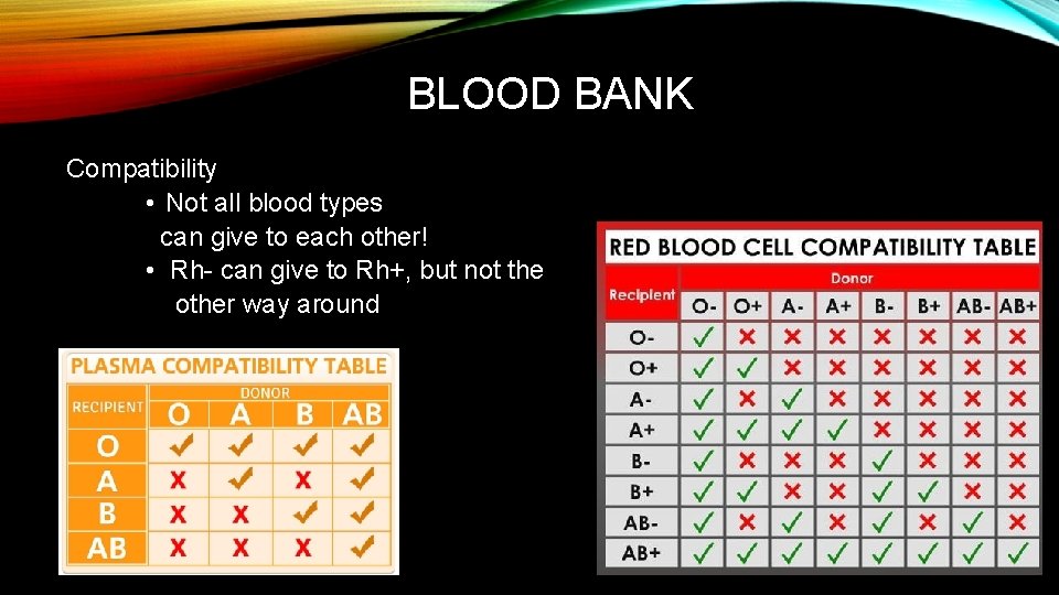 BLOOD BANK Compatibility • Not all blood types can give to each other! •