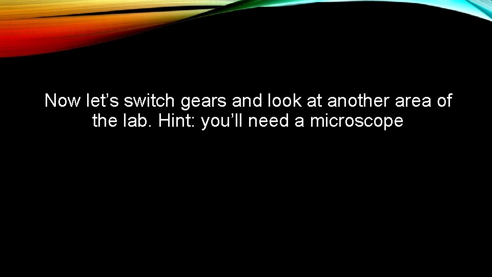 Now let’s switch gears and look at another area of the lab. Hint: you’ll