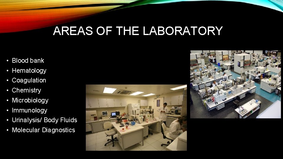 AREAS OF THE LABORATORY • Blood bank • Hematology • Coagulation • Chemistry •