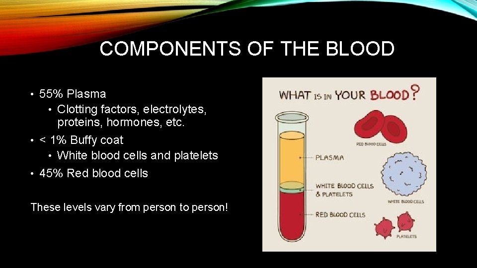 COMPONENTS OF THE BLOOD • 55% Plasma Clotting factors, electrolytes, proteins, hormones, etc. •