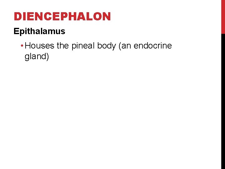 DIENCEPHALON Epithalamus • Houses the pineal body (an endocrine gland) 