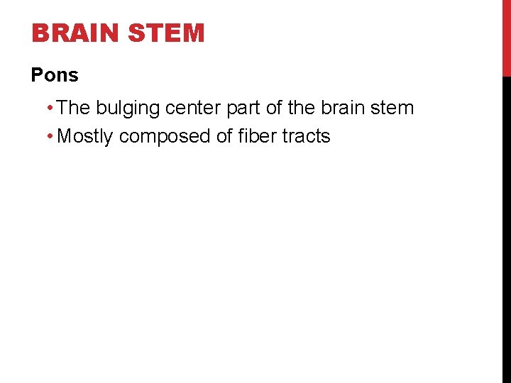 BRAIN STEM Pons • The bulging center part of the brain stem • Mostly