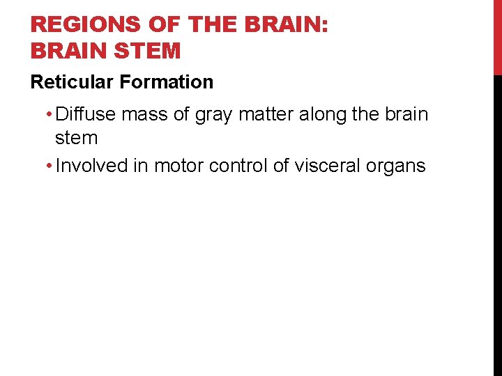 REGIONS OF THE BRAIN: BRAIN STEM Reticular Formation • Diffuse mass of gray matter
