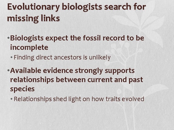 Evolutionary biologists search for missing links • Biologists expect the fossil record to be