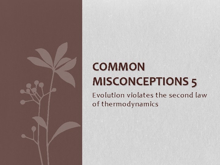 COMMON MISCONCEPTIONS 5 Evolution violates the second law of thermodynamics 