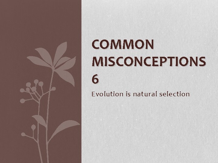 COMMON MISCONCEPTIONS 6 Evolution is natural selection 