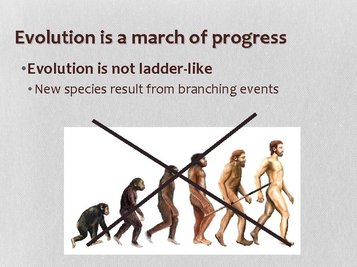 Evolution is a march of progress • Evolution is not ladder-like • New species