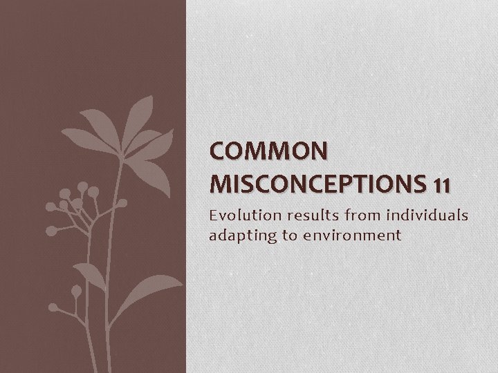 COMMON MISCONCEPTIONS 11 Evolution results from individuals adapting to environment 