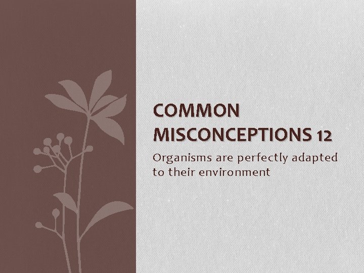 COMMON MISCONCEPTIONS 12 Organisms are perfectly adapted to their environment 