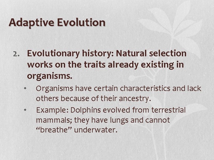 Adaptive Evolution 2. Evolutionary history: Natural selection works on the traits already existing in