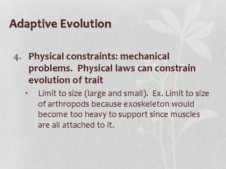 Adaptive Evolution 4. Physical constraints: mechanical problems. Physical laws can constrain evolution of trait