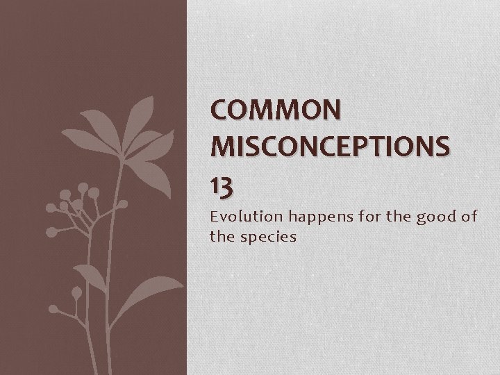 COMMON MISCONCEPTIONS 13 Evolution happens for the good of the species 