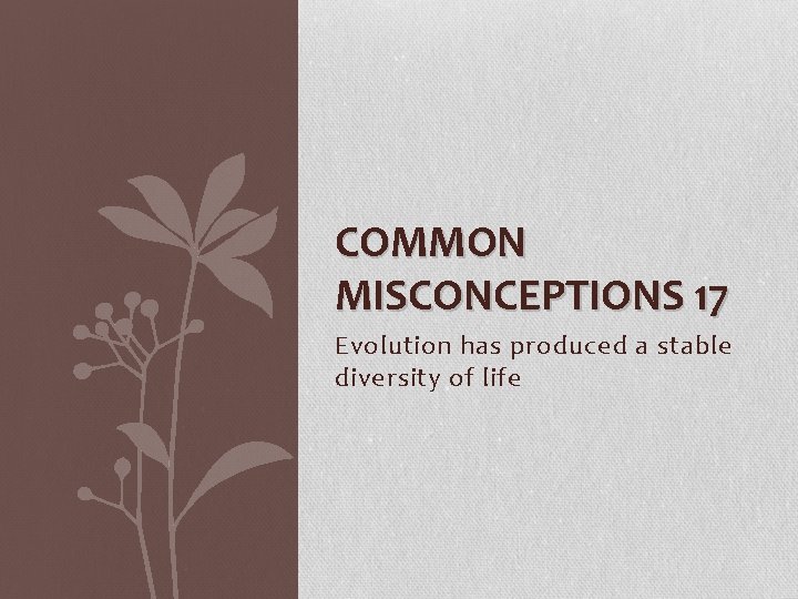 COMMON MISCONCEPTIONS 17 Evolution has produced a stable diversity of life 