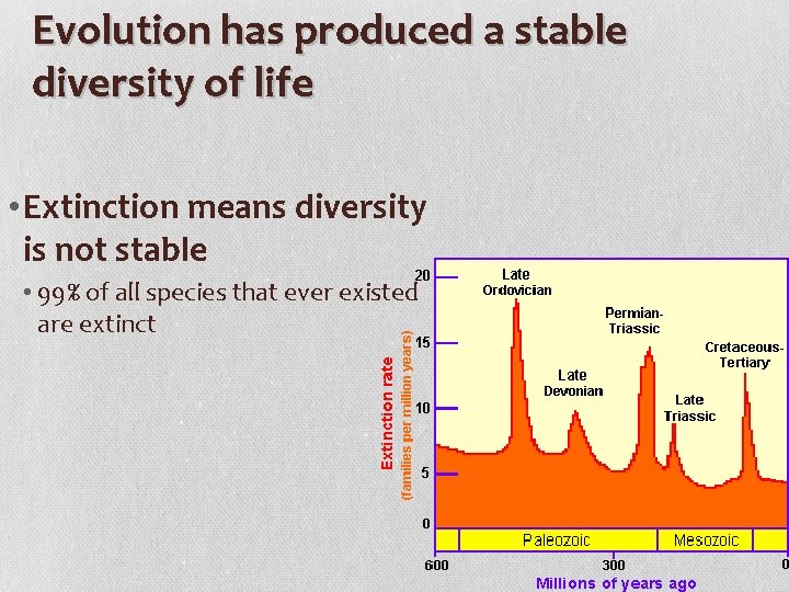 Evolution has produced a stable diversity of life • Extinction means diversity is not