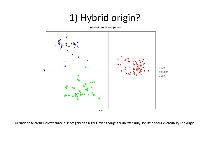 1) Hybrid origin? Ordination analysis indicate three distinct genetic clusters, even though this in