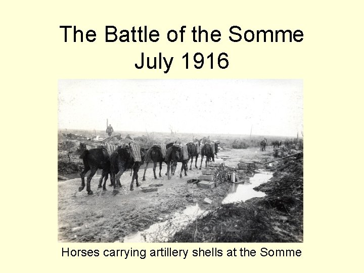 Battles on the Western Front World War I