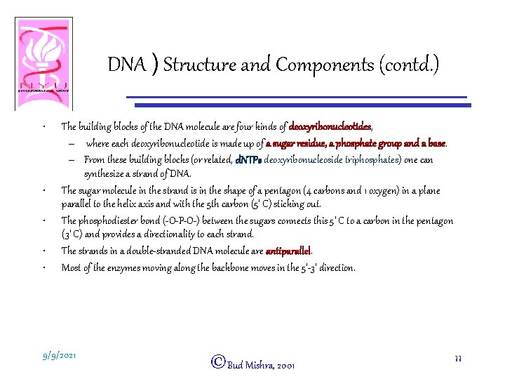 DNA ) Structure and Components (contd. ) • • • The building blocks of