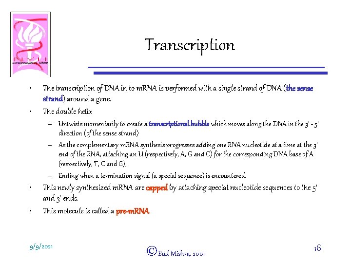 Transcription • • The transcription of DNA in to m. RNA is performed with