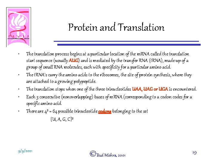 Protein and Translation • • • The translation process begins at a particular location