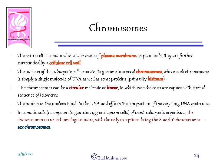 Chromosomes • • • The entire cell is contained in a sack made of