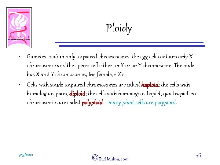 Ploidy • Gametes contain only unpaired chromosomes; the egg cell contains only X chromosome