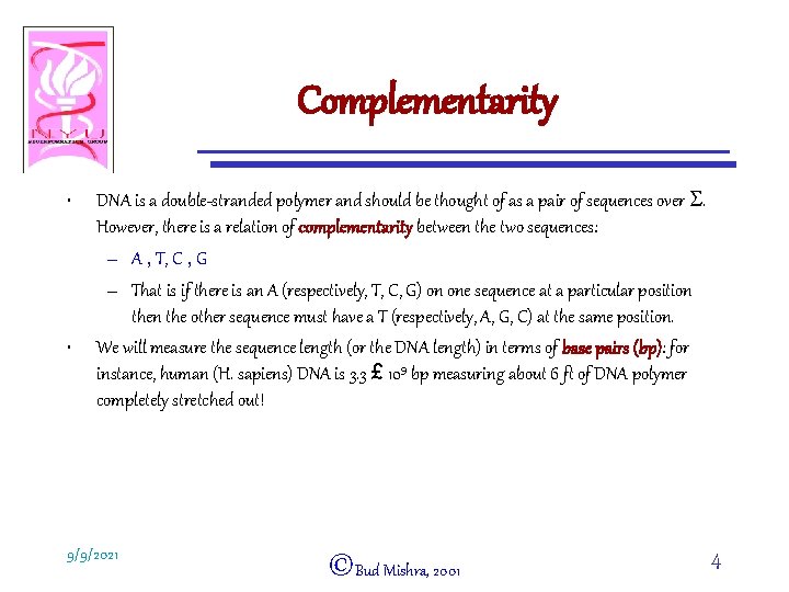 Complementarity • • DNA is a double-stranded polymer and should be thought of as