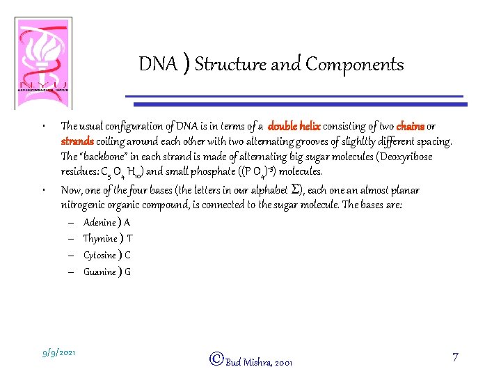DNA ) Structure and Components • • The usual configuration of DNA is in