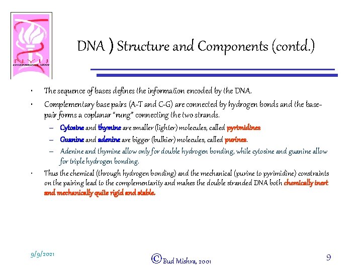DNA ) Structure and Components (contd. ) • • • The sequence of bases