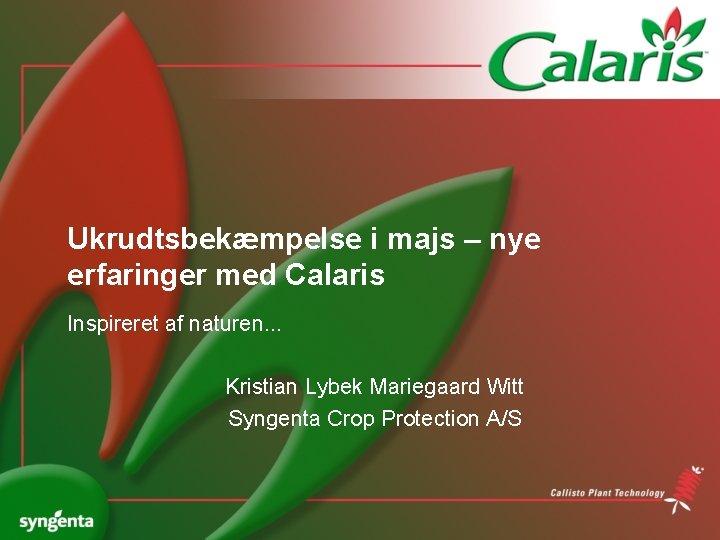 Ukrudtsbekæmpelse i majs – nye erfaringer med Calaris Inspireret af naturen. . . Kristian