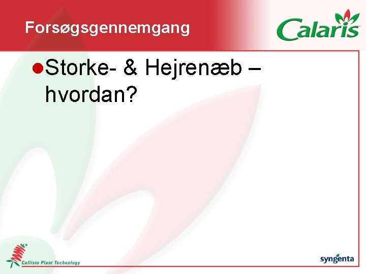 Forsøgsgennemgang l. Storke- & Hejrenæb – hvordan? 