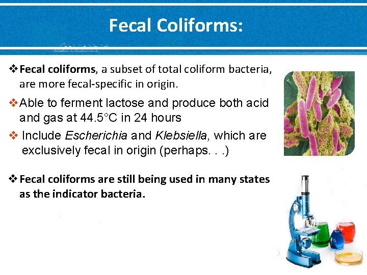 Fecal Coliforms: v. Fecal coliforms, a subset of total coliform bacteria, are more fecal-specific