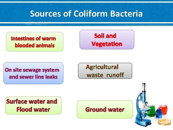 Sources of Coliform Bacteria Intestines of warm blooded animals Soil and Vegetation On site