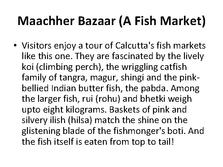 Maachher Bazaar (A Fish Market) • Visitors enjoy a tour of Calcutta's fish markets