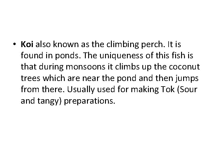  • Koi also known as the climbing perch. It is found in ponds.