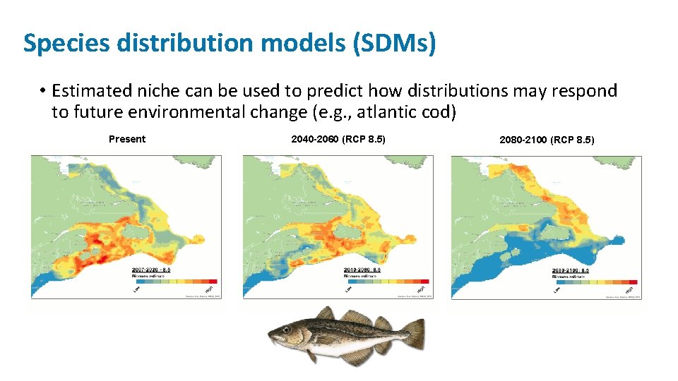 Species distribution models (SDMs) • Estimated niche can be used to predict how distributions