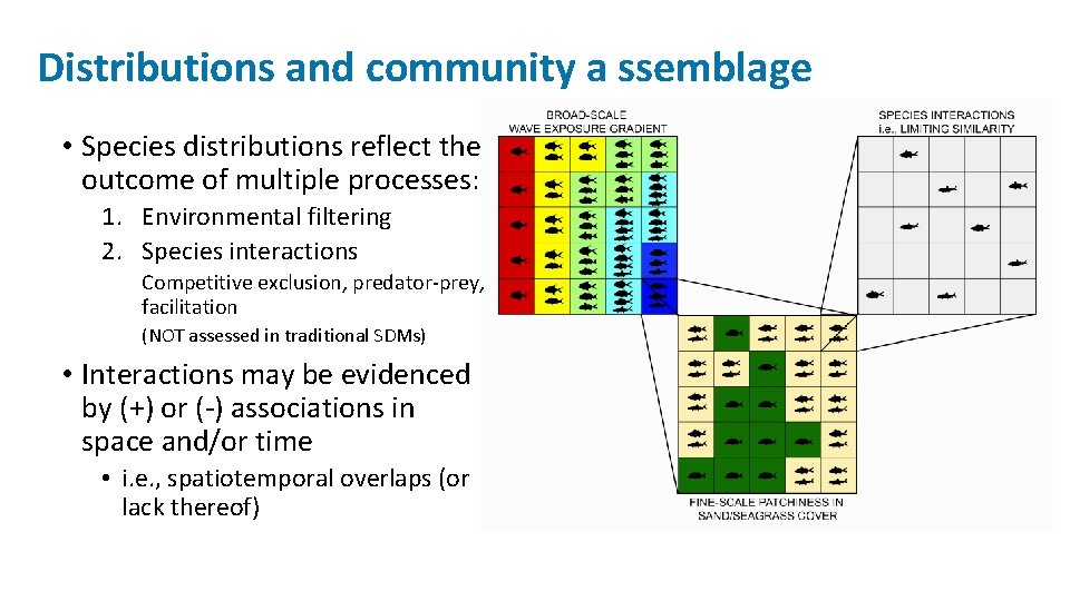 Distributions and community a ssemblage • Species distributions reflect the outcome of multiple processes: