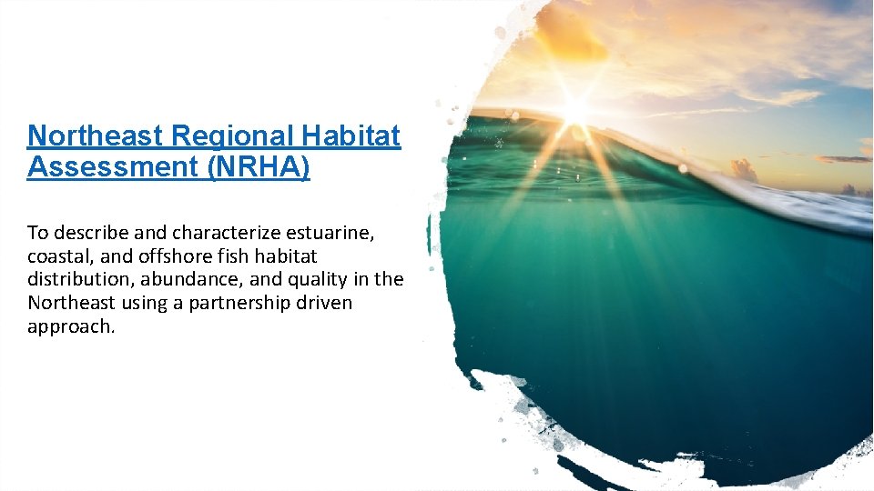 Northeast Regional Habitat Assessment (NRHA) To describe and characterize estuarine, coastal, and offshore fish