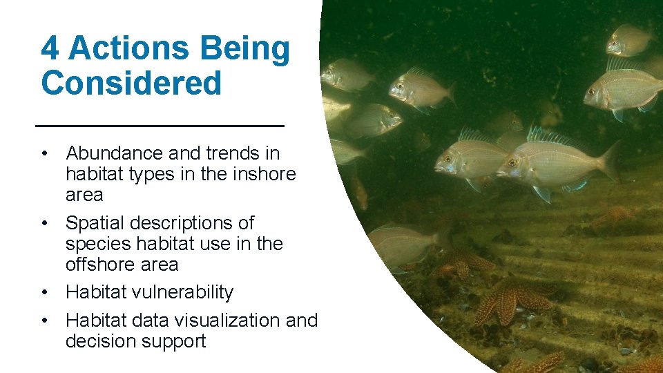 4 Actions Being Considered • Abundance and trends in habitat types in the inshore