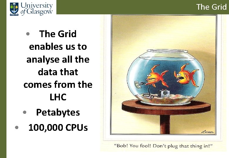 The Grid Data • The Grid enables us to analyse all the data that