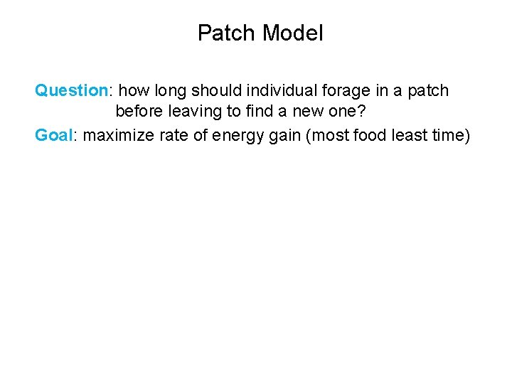 Patch Model Question: how long should individual forage in a patch before leaving to